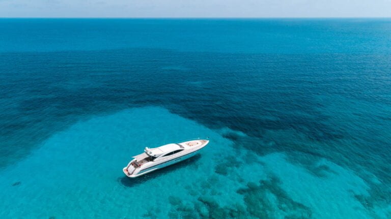 Mangusta 108