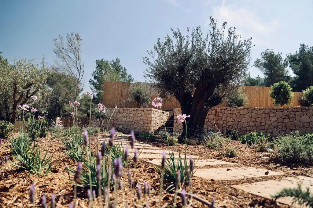 Luxury Villa in Roca Llisa