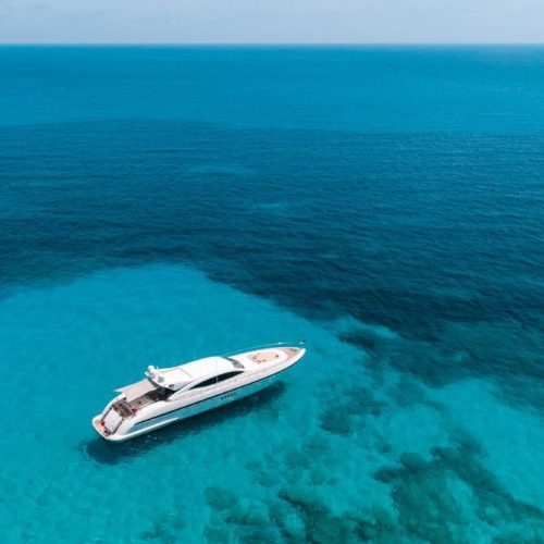Mangusta 108